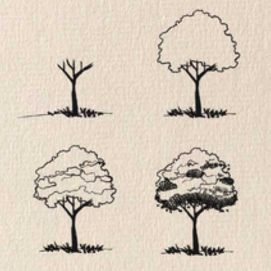 Dessiner un pommier pas à pas : méthode étape par étape pour les arbres feuillus