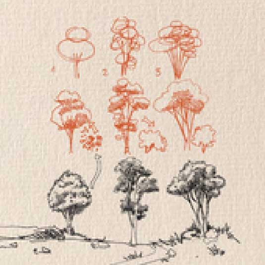 Construction d'un arbre en trois étapes : exercice de dessin progressif