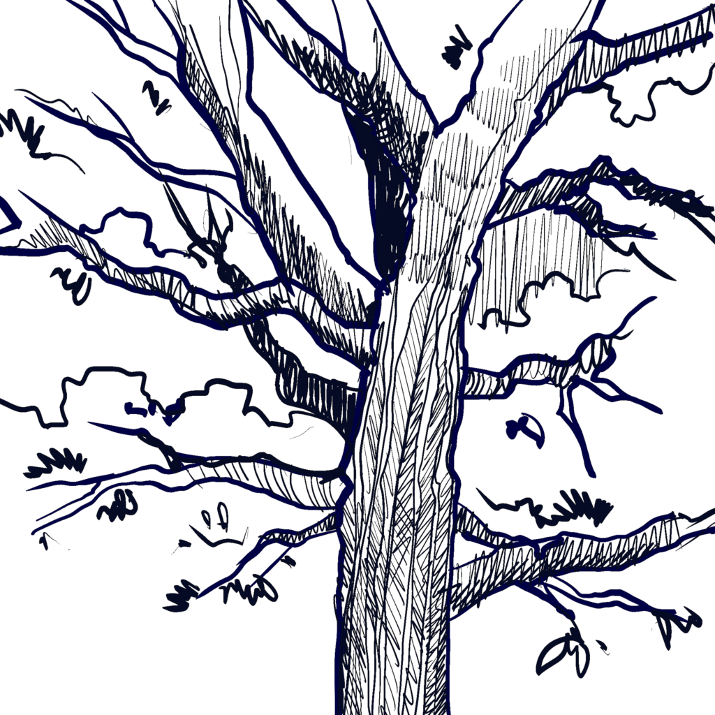 Dessiner le volume - du trait au volume, masse d'arbre construite par hachures
